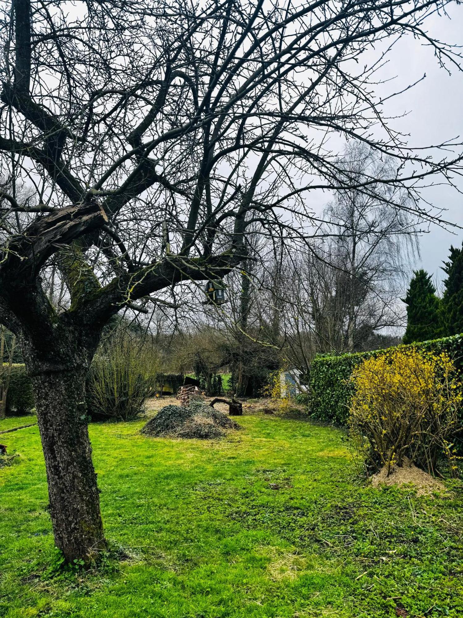 Au Coron Des Anges Villa Bergen Buitenkant foto